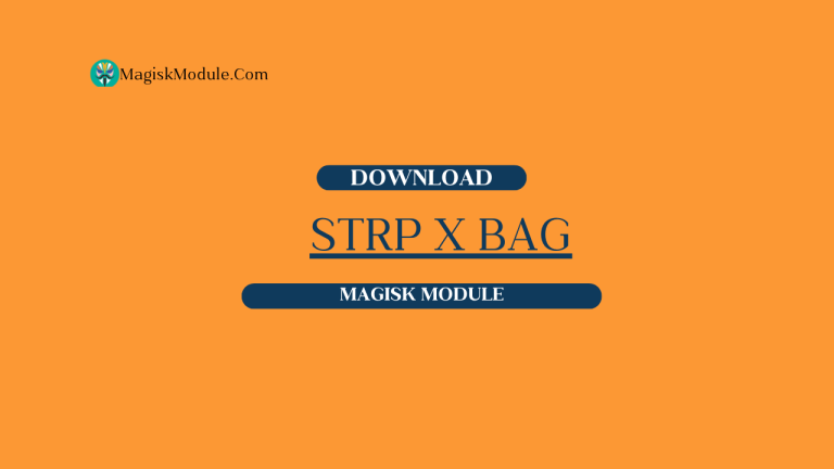 STRP x BAG