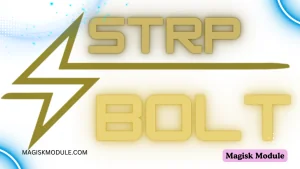 STRP x BOLT