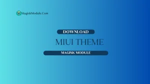 MIUI Theme