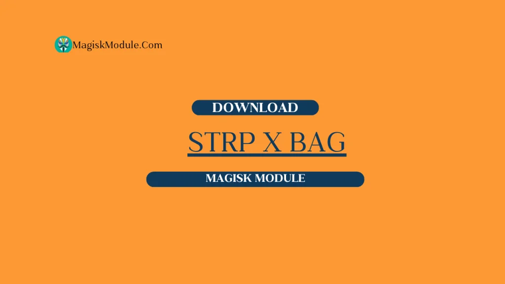 STRP x BAG